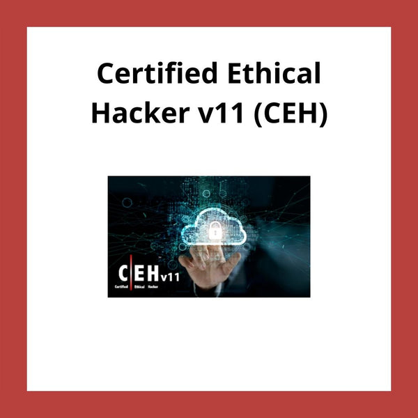 Curso Oficial Certified Ethical Hacker v11 (CEH)